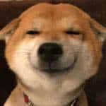 佚名