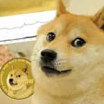 三马哥
