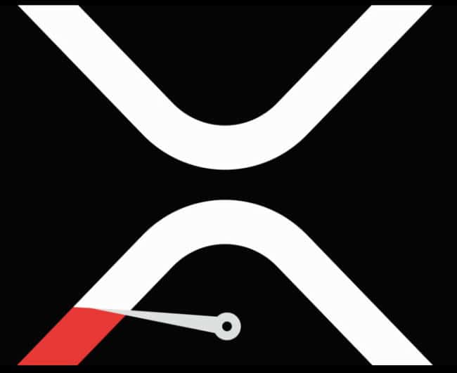 2024年加密货币多数反弹,但XRP表现不佳