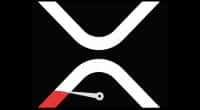 2024年加密货币多数反弹，但XRP表现不佳