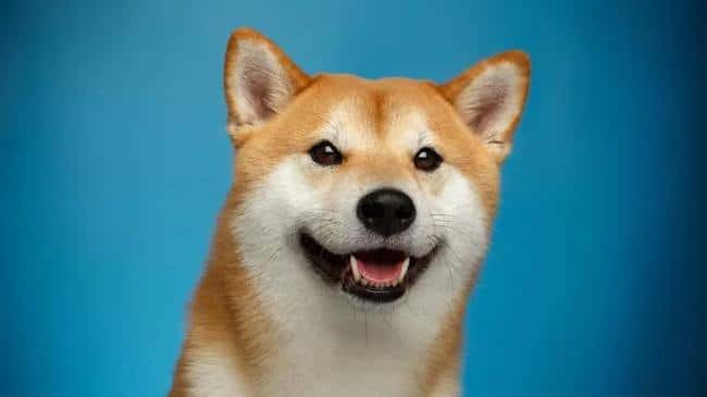 DOGE(狗狗币)是什么币？
