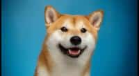 DOGE(狗狗币)是什么币？