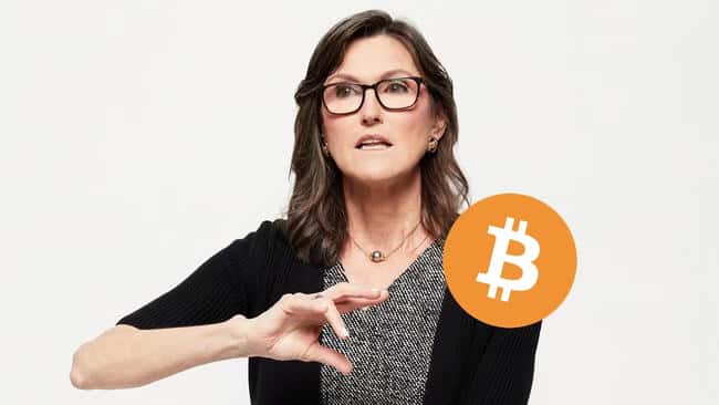 女股神25%身家重注BTC：现货ETF助力比特币2030预测达150万美元