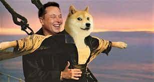 马斯克对Doge社群坦言：挚爱加密货币为狗狗币，我持有颇丰