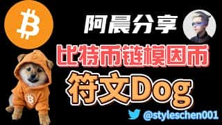 比特币Runes协议解析：Meme币$DOG空投完成，阿晨分享对DOG的独特见解