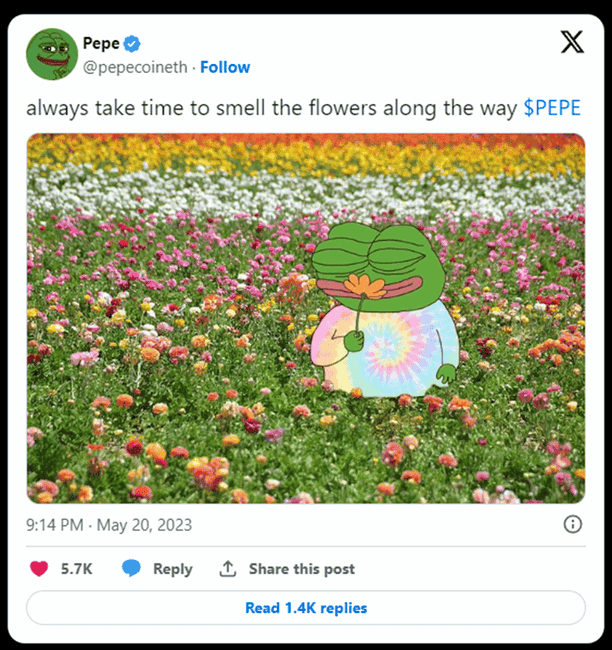Meme