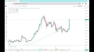 今日凌晨决议揭晓！比特币、以太坊及Dogecoin行情深度分析