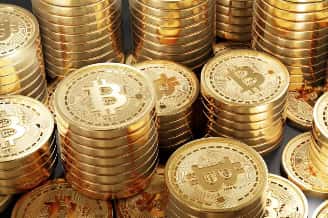未来金狗起步价达10万美元FDV