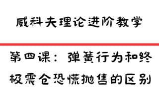 威科夫理论进阶教学四：弹簧行为、终极震仓与恐慌抛售的区别