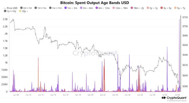 比特币现货 ETF 流入创一个月新高，分析师：新手恐慌，HODLer 坚定持有