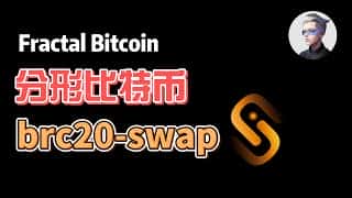 Unisat 推出分形比特币区块链，BRC20SWAP 即将上线，盘点比特币生态核心标的。