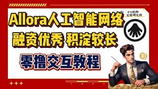 Allora AI 网络：频繁合作联动，融资优异，积淀深厚，零撸交互教程