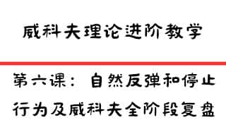 威科夫理论精进：自然反弹与停止行为，全阶段复盘