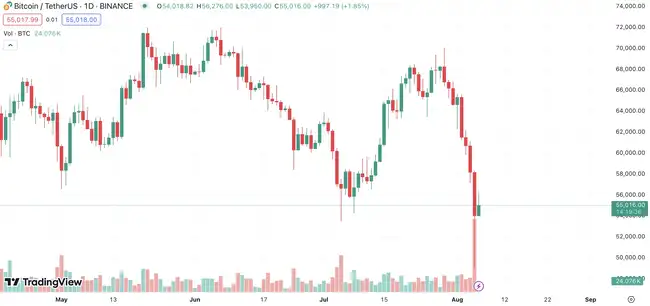 8月5日暴跌后，大户抄底了哪些？ 