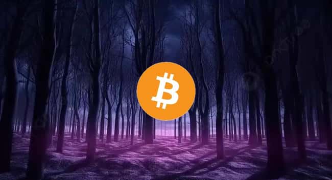Polygon高管爆料：90%公链向生态项目索要空投，EigenLayer并非孤例