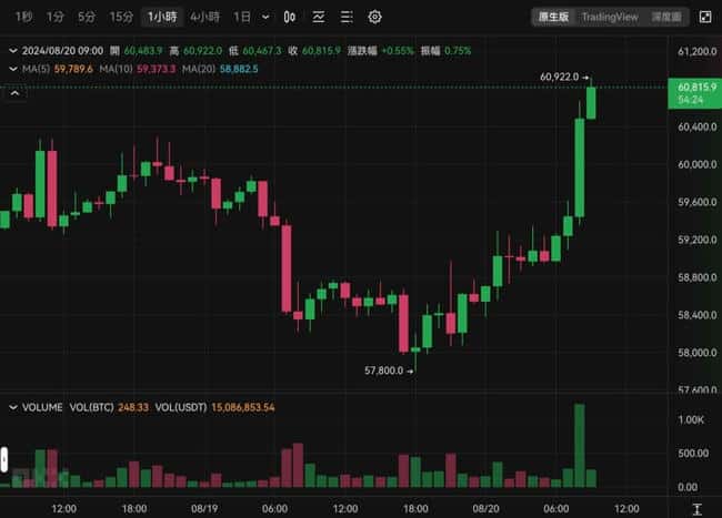 BTC接近6.1万美元，74%比特币在过去半年未动，持有者看涨HODL策略