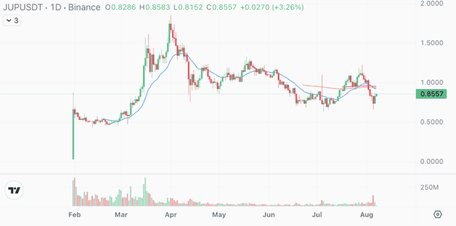 除了一个，Binance 2024 上架币种普遍跌超 50% 