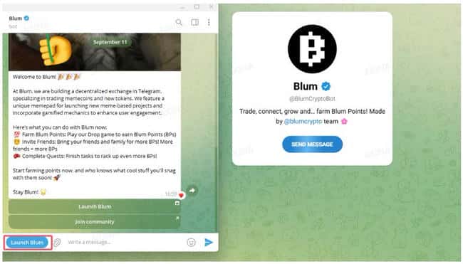 币安投资攻略 | 免费撸Telegram小程序BLUM积分详细教程