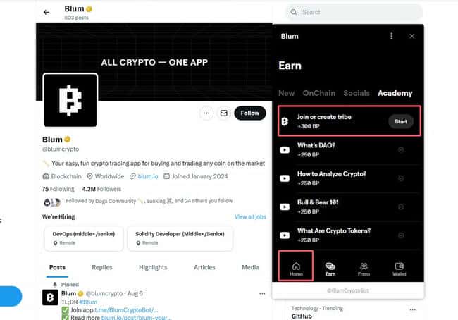 币安投资攻略 | 免费撸Telegram小程序BLUM积分详细教程