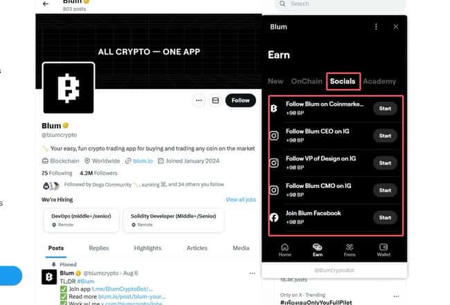 币安投资攻略 | 免费撸Telegram小程序BLUM积分详细教程