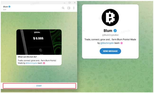 币安投资攻略 | 免费撸Telegram小程序BLUM积分详细教程