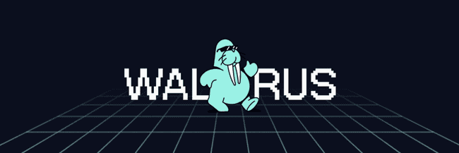 Sui推Walrus去中心存储新方案：特色揭秘，空投机会来袭？