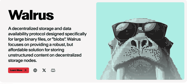 Sui推Walrus去中心存储新方案：特色揭秘，空投机会来袭？