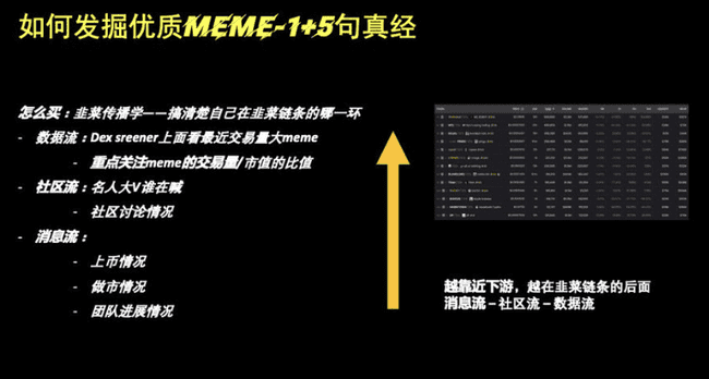 Meme币炒家揭秘：全职高手的财富积累传奇！