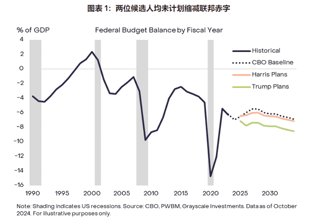 大选尘埃落定：美国选举结果对数字资产市场的潜在冲击解析