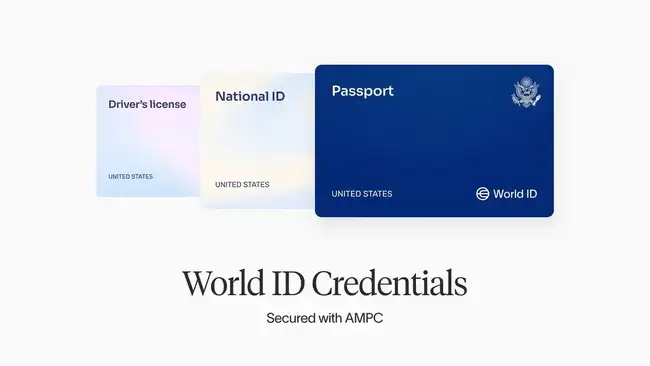 World Chain启航：新链盛宴或泡沫幻影？Memecoin浪潮下的陷阱与黄金坑