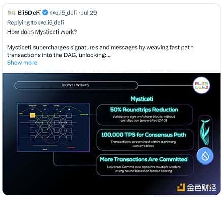 解析DWF释放：Move系公链Sui、Aptos与Movement的差异对比