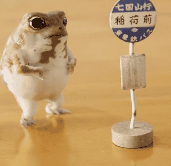 迷因币狂热：Omochi青蛙一日暴增百倍，TikTok与动物园成‘草根造币工厂’