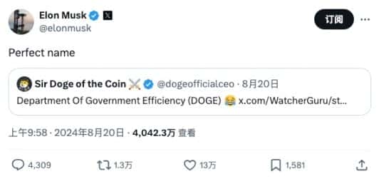 DOGE引领新风尚：政治流量加持，马斯克政府效率部（D.O.G.E）构想引发热议
