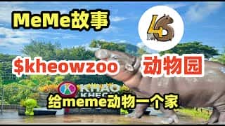 从默默无闻到风靡一时：揭秘Meme币的疯狂之旅
