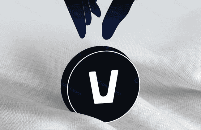 AI赛道新星闪耀：深度剖析Vana创新亮点及交互教程指南！