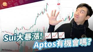 Aptos：下一个爆款公链？
