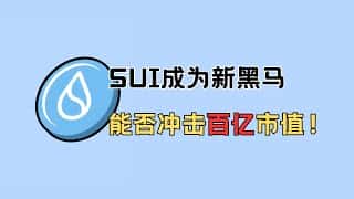 SUI 崛起：百亿市值触手可及？ 继续持有值得吗？