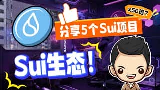 Sui 生态潜力币：值得关注的五个项目
