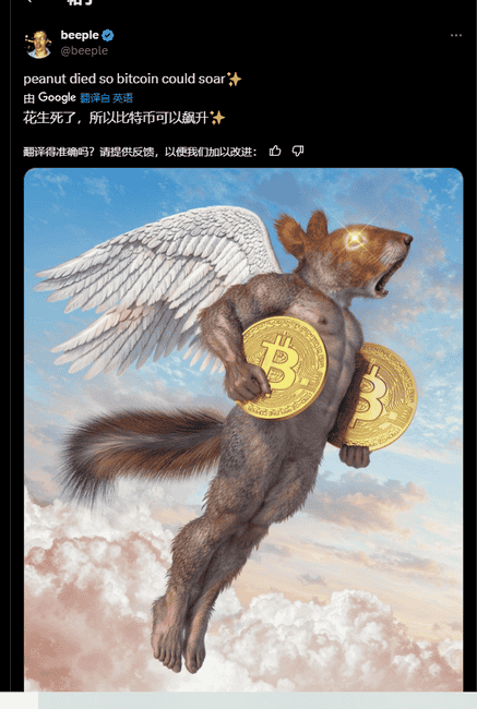 币安新上ACT与PNUT，半小时狂飙10倍：是投资良机还是精准陷阱？