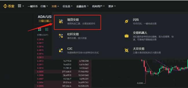 UNFI币综合评价与投资潜力分析