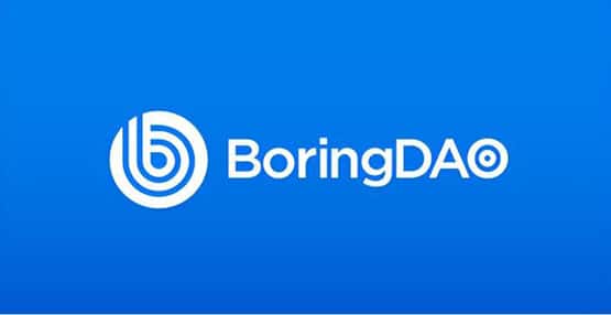 BORING币是什么？全面解析BORING币的未来前景