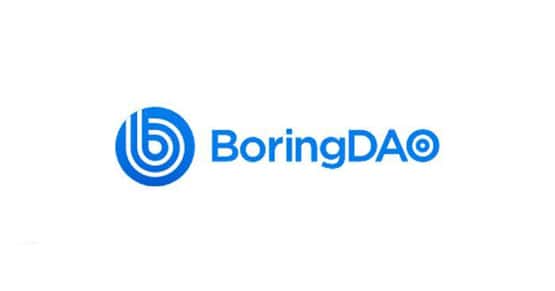 BORING币值得投资吗？其价值和潜力如何？