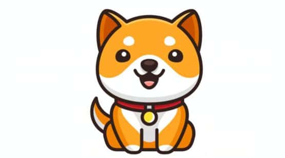 宝贝狗币与马斯克有关吗？其投资前景如何？