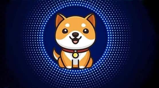 BABYDOGE币能否超越SHIB币？详细分析与前景展望