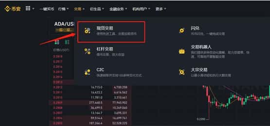 BOME币长期持有价值深度分析