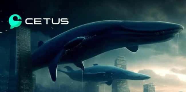 CETUS币未在币安上市的原因探讨