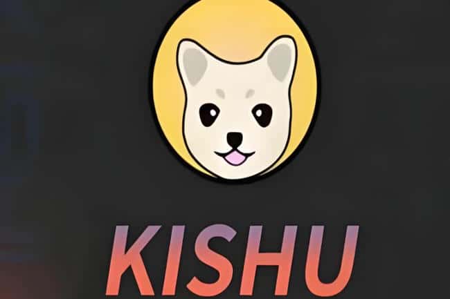 KISHU币在国外受欢迎吗？为何持续下跌？未来是否有潜力？