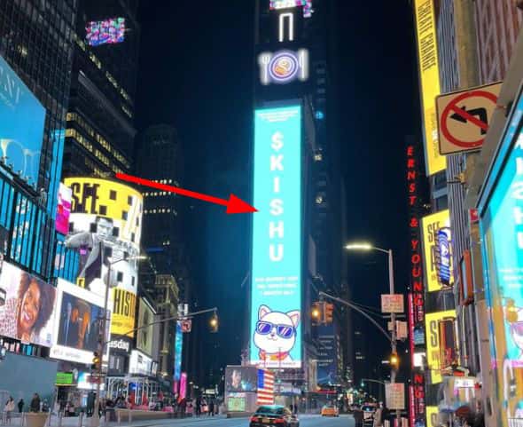 KISHU币在国外受欢迎吗？为何持续下跌？未来是否有潜力？