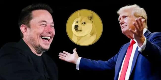 狗狗币晋升第六大加密货币！能否重现2021年辉煌，剑指1美元？