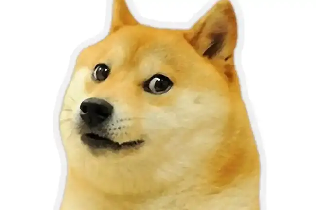 马斯克效应引领牛市Alpha：DOGE、PUNT等暴涨传奇